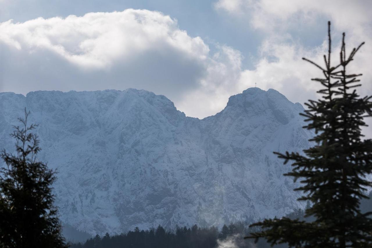 Apartament Paula Zakopane Kültér fotó